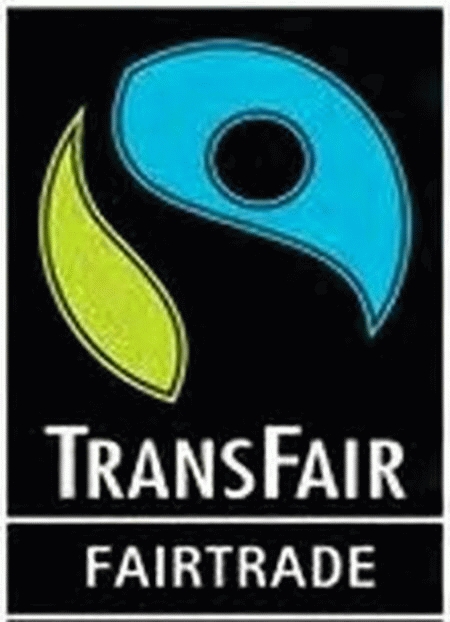 Transfer Transfer